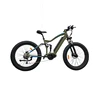Adult electric bike full suspension electric bike big tyre mid drive