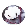 /product-detail/quality-chinese-hybrid-cotton-seeds-price-india-for-sales-60549980244.html