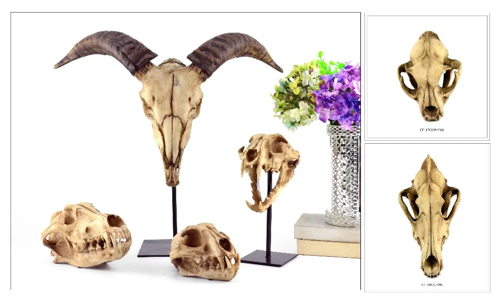 Antique 3D Resin Animal Dinosaur Skull Head Model Home Decoration Europe SCULPTURE Folk Art details