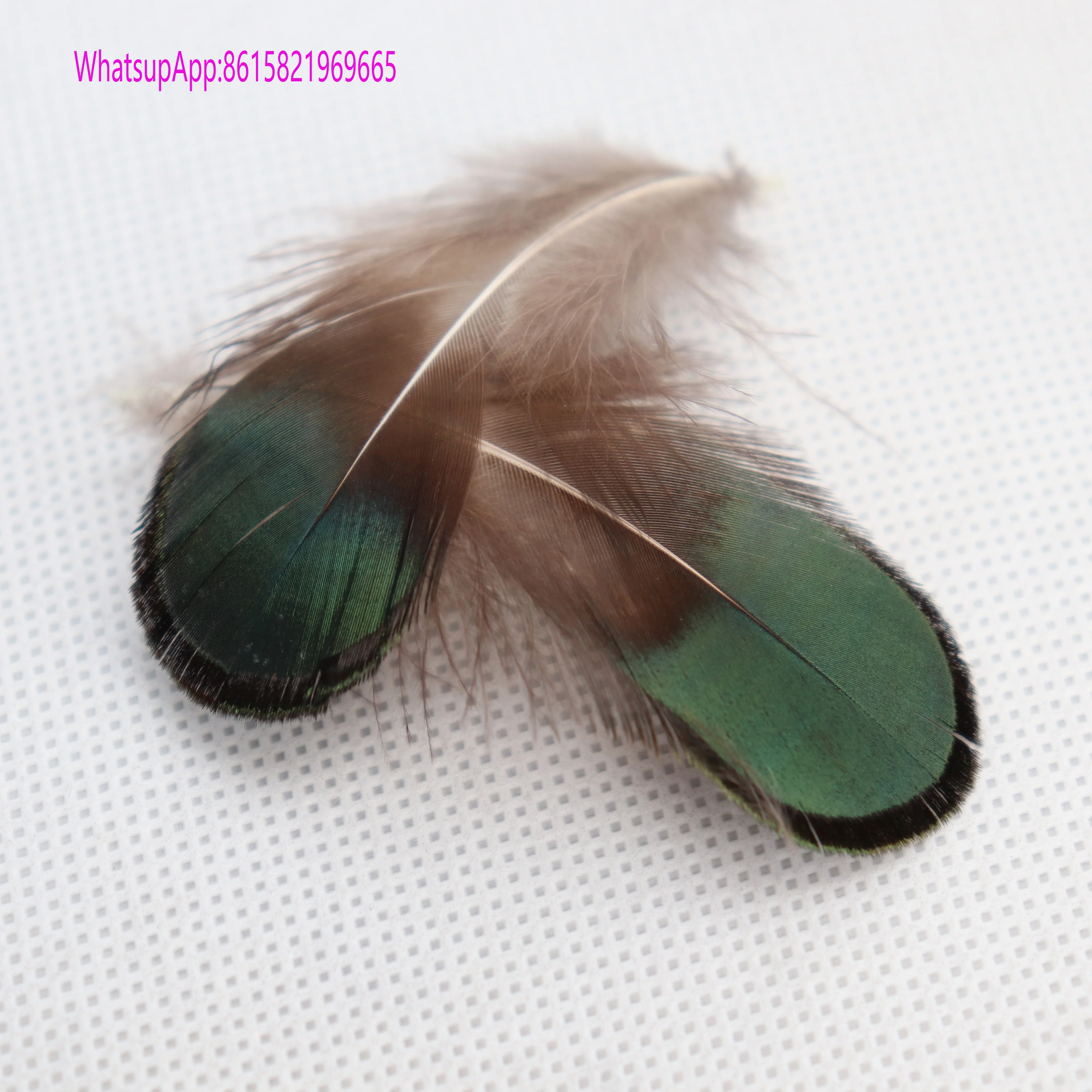 
Cheap Pheasant Feather Peacock Head Feather 