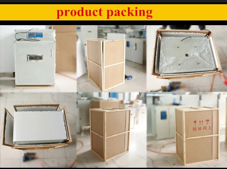 TB2kvUqfVXXXXaCXXXXXXXXXXXX_!!869346913