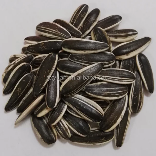 
Sunflower seeds 601 