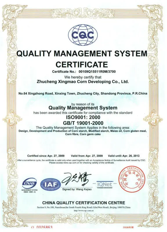 ISO9001