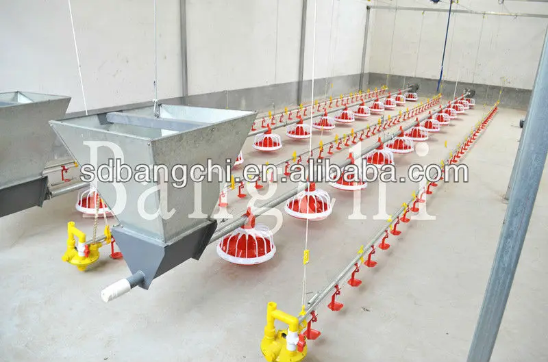 poultry equipment2.jpg