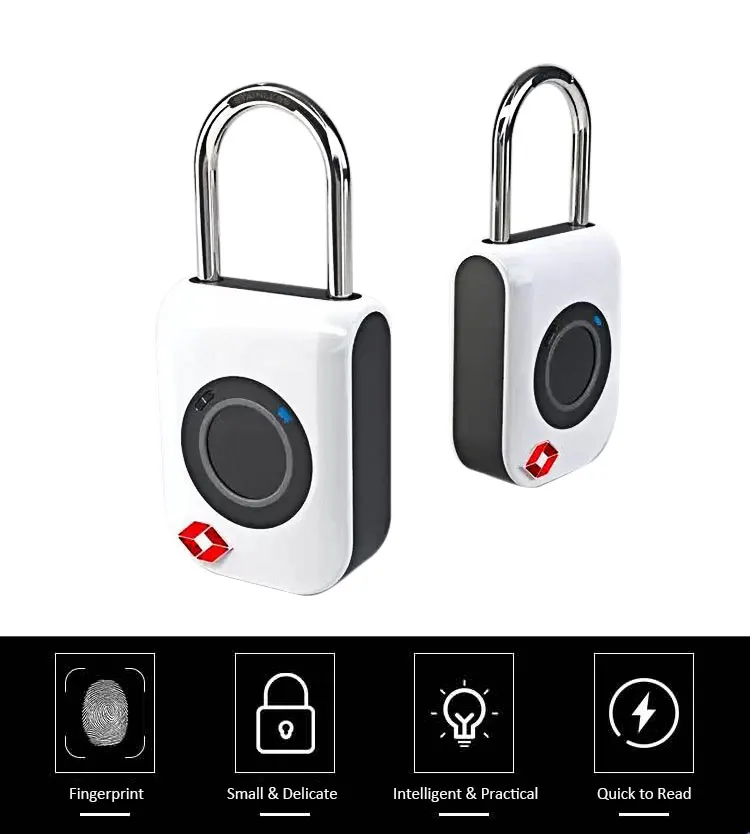 fingerprint travel lock