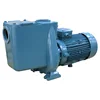 330V Guangzhou Manufacture Swimming Pool Spa Water Pumps Equipment for Electric Pump