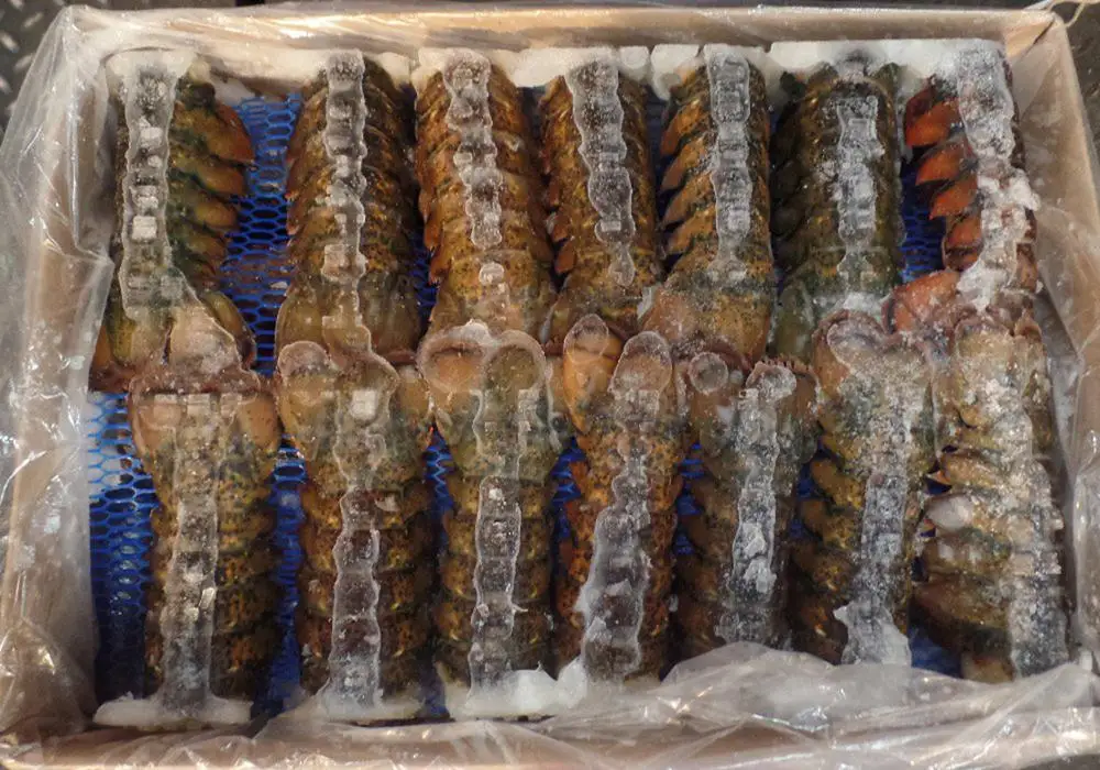 
Canadian Wild Caught Lobster 