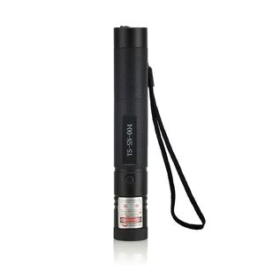 Laser Pointer 303