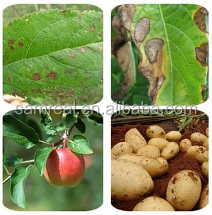 
Mancozeb 64%+Metalaxyl 8%WP 72%WP Fungicide Ridomil 