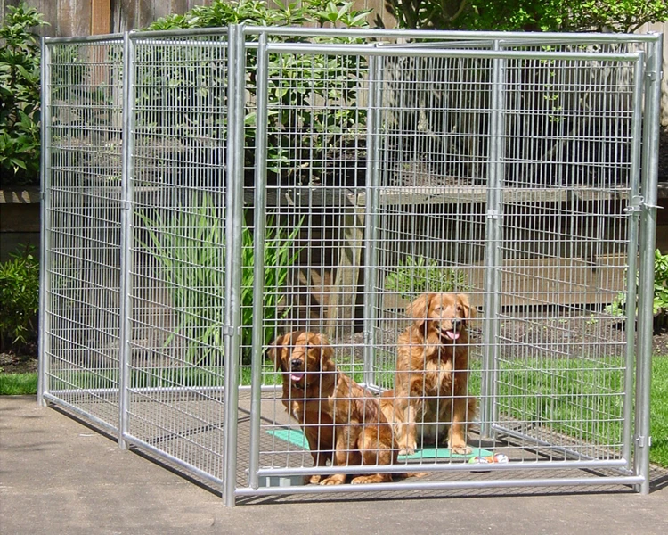Made In China Hot Dip Galvanized Steel Bar Dog Run Kennel Buy Dog Run