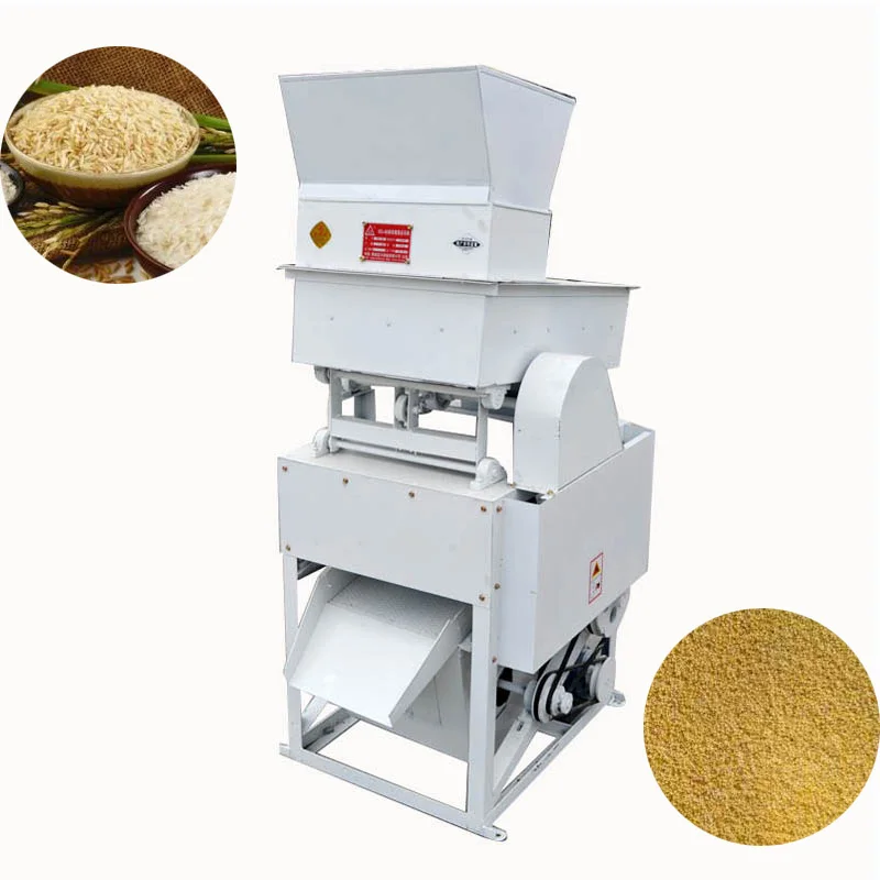 Paddy-Rice.jpg