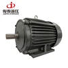 Three Phase Teco Type Induction Motor with Fast Delivery , Made in China Electric Motors