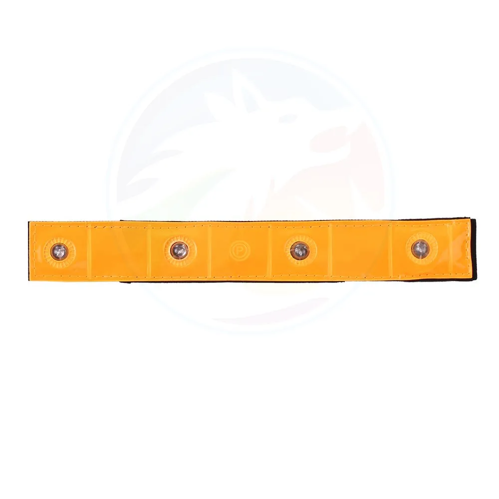 LED Armband   (4).jpg