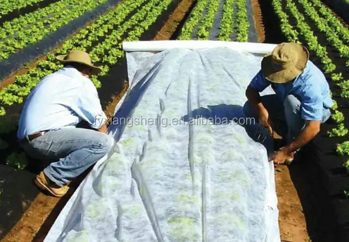 Polypropylene Fabric In Roll.jpg