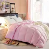 Best selling comforter inner down duvet