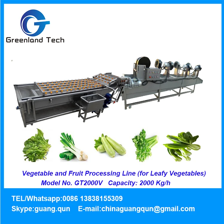 Good Quality Gt2000v Fruit And Vegetable Processing Line (for Leafy