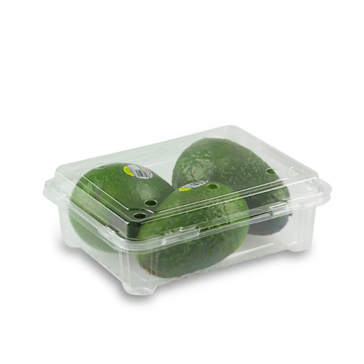 High Quality Disposable Plastic Clamshell Fruit Packaging Container