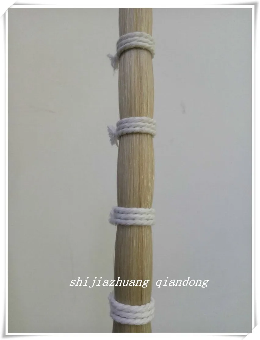 white horse tail hair