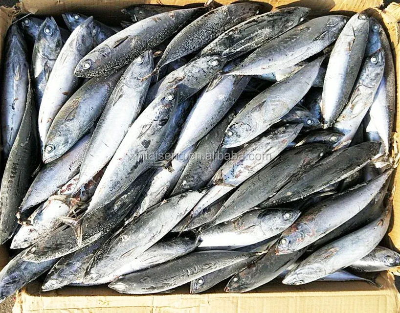 Bonito210-220g