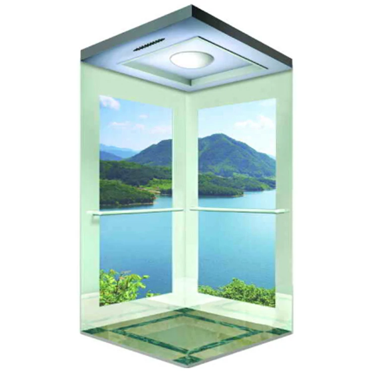 Professional Installation Safety Small Home Lift Passenger Elevator For
