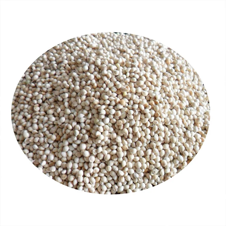 hemp seed (8).jpg