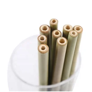 Image of Slim Eco Friendly Factory Directly Sales Customized Logo Reusable 100% Natural Nature Organic Green Bamboo Straws Set