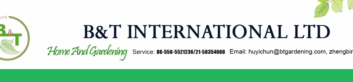 Inter ltd. Tormont International Limited. Cogentech International Ltd.. Roughton International Ltd.