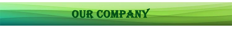 OUR COMPANY.png