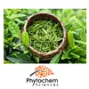 China health supplement pure green tea extract powder 90% egcg