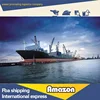 LCL/ FCL sea freight from hongkong/shenzhen/guangzhou to USA Amazon warehouse TN 37310 US (CHA2) Freight Agents