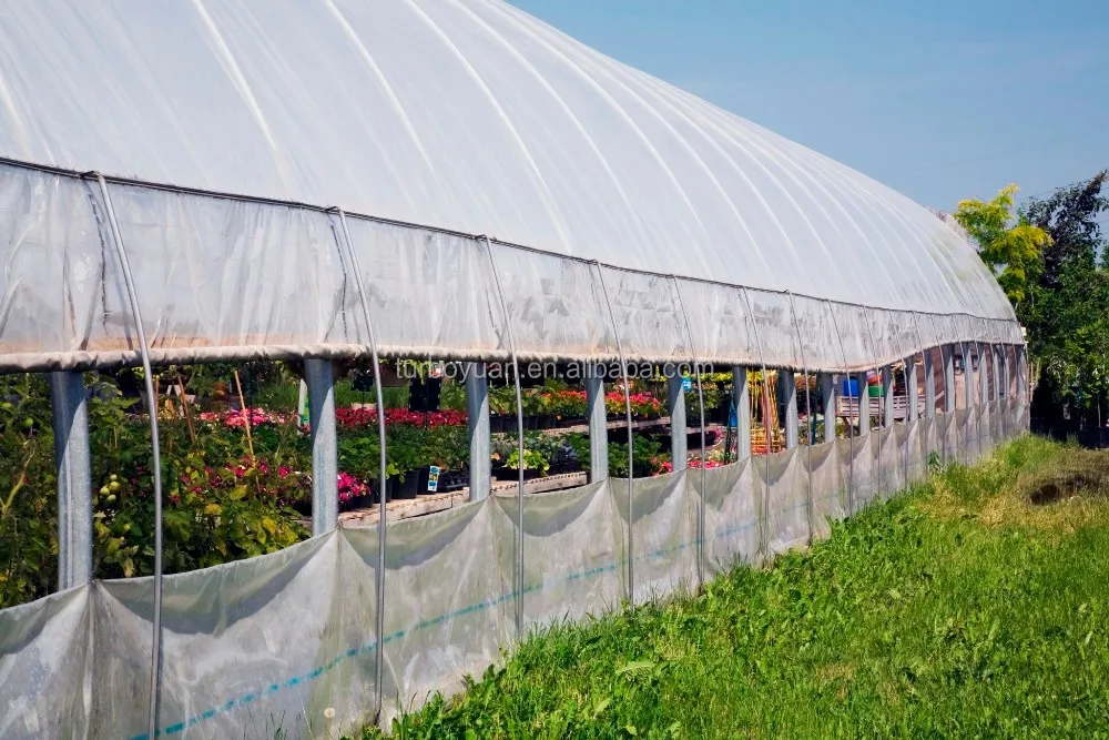 防紫外线防水透明塑料防水布/农业用品用于樱桃树或温室屋顶的雨罩