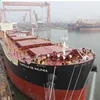 7days free warehouse storage for Sea freight Shipping service from China to Rostov On Don--Boing selina