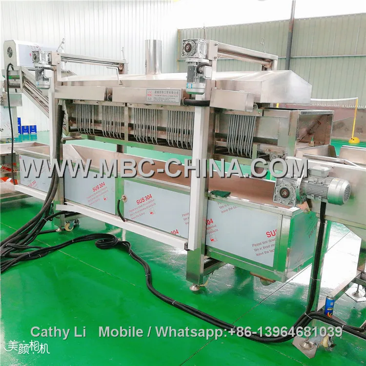 fries blanching machine .jpg