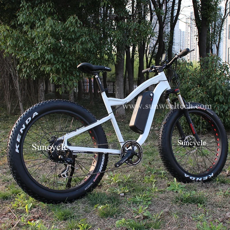 ebike (14).jpg