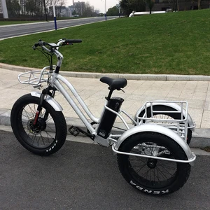 three wheel fat tire electric bike