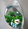 Wall mounted Acrylic fish box fish tank acrylic mini fishbowl