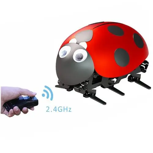 rc ladybug