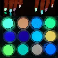 

New Updated Glow in the Dark 12 Colors Nail Art Ultrafine Fluorescent Effect Acrylic Nail Powder