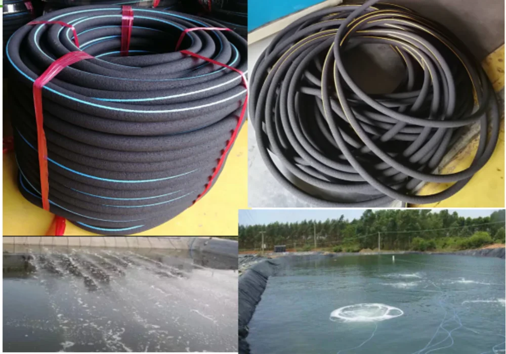 paste-pic-dp_uuid_h5390