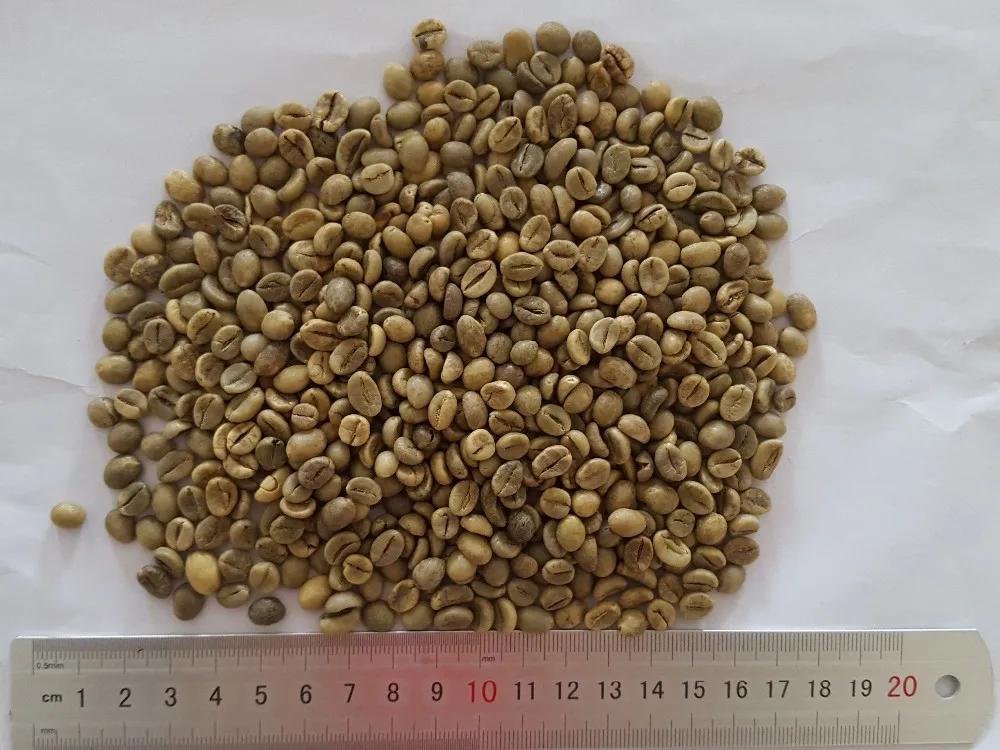 Robusta Green Coffee Beans,New Crop,Washed,Polished Grade A,Screen 16