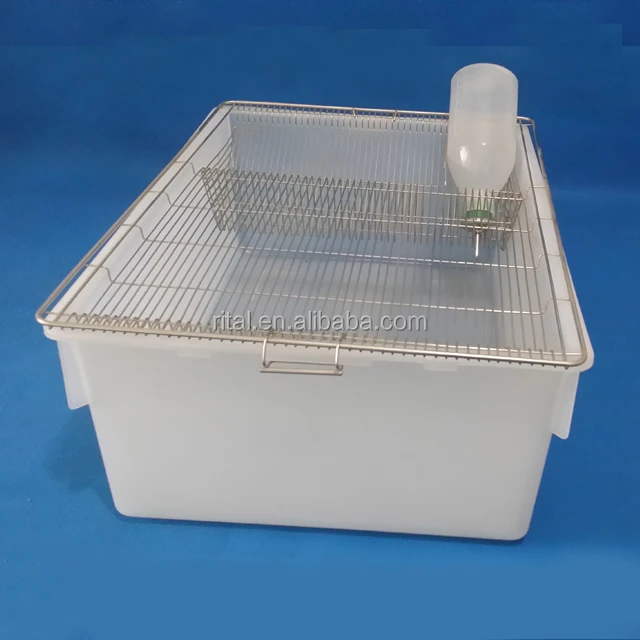 Rat Breeding Boxes Flat Top With Stainless Steel Mesh Lid Buy Rat