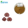Xi`an SOST Supply Reishi Mushroom Shell-Broken Spores Extract Powder