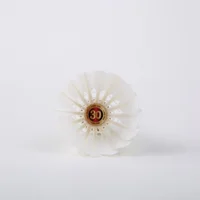 

NO.30 Model Shuttlecock