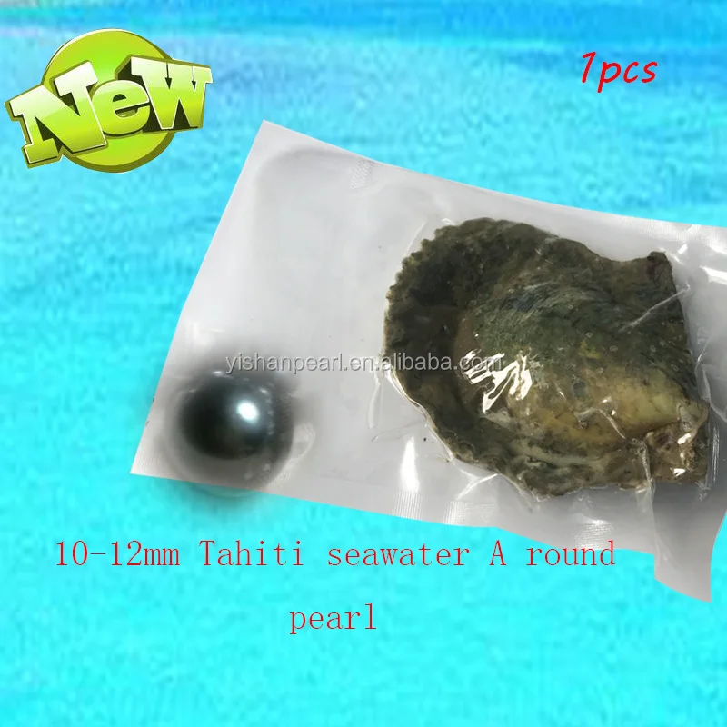 

10-12mm grade A Tahiti pearl in akoya oyster wholesale amazing gift