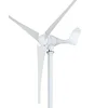 500w horizontal axis wind turbine/hot sale windmill generator producer