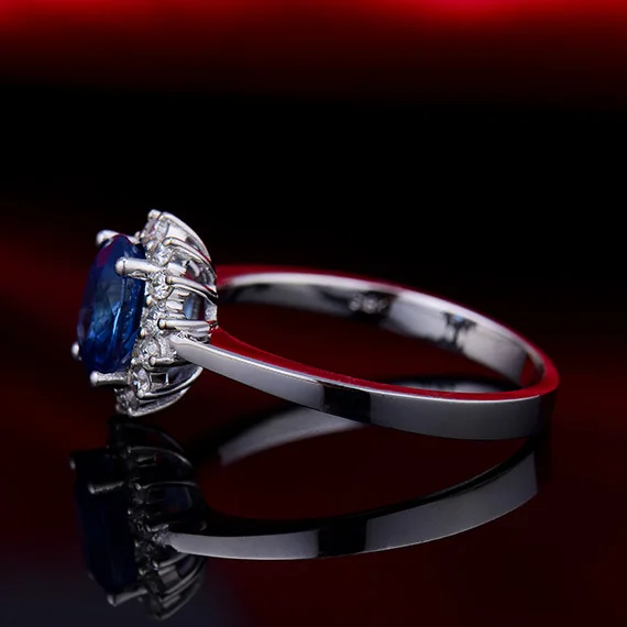 ���� ���� ������ �� ���� ������