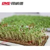/product-detail/eco-friendly-natural-jute-fiber-degradable-seed-growing-tray-microgreens-grow-tray-60856168053.html