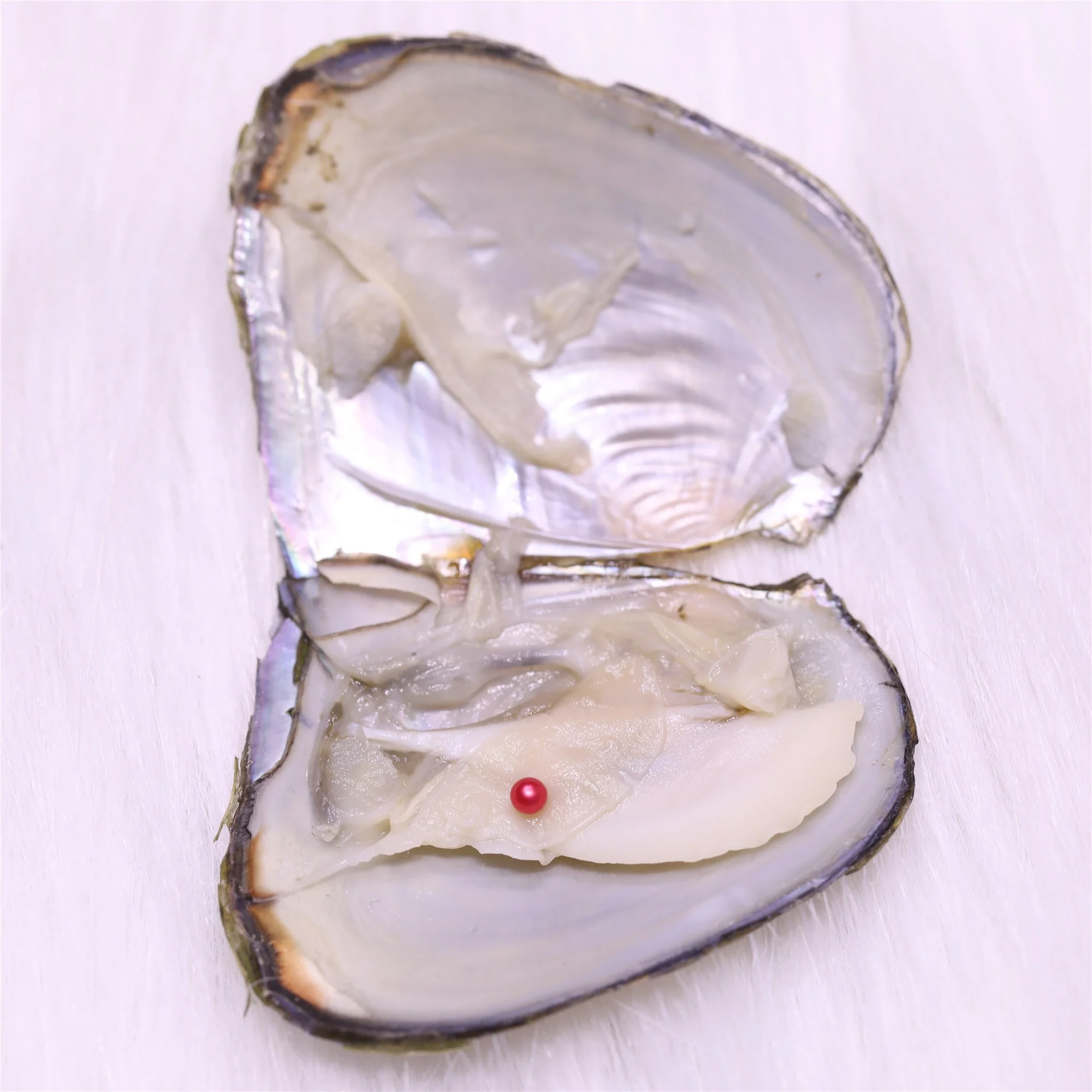 

AAA+ grade 3-4mm Round Mini Freshwater Pearl in Freshwater Oysters vacuum packing,Wholesale Oyster Shells With Pearl,
