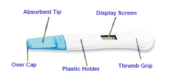 
One Step Electronic Pregnancy Test 
