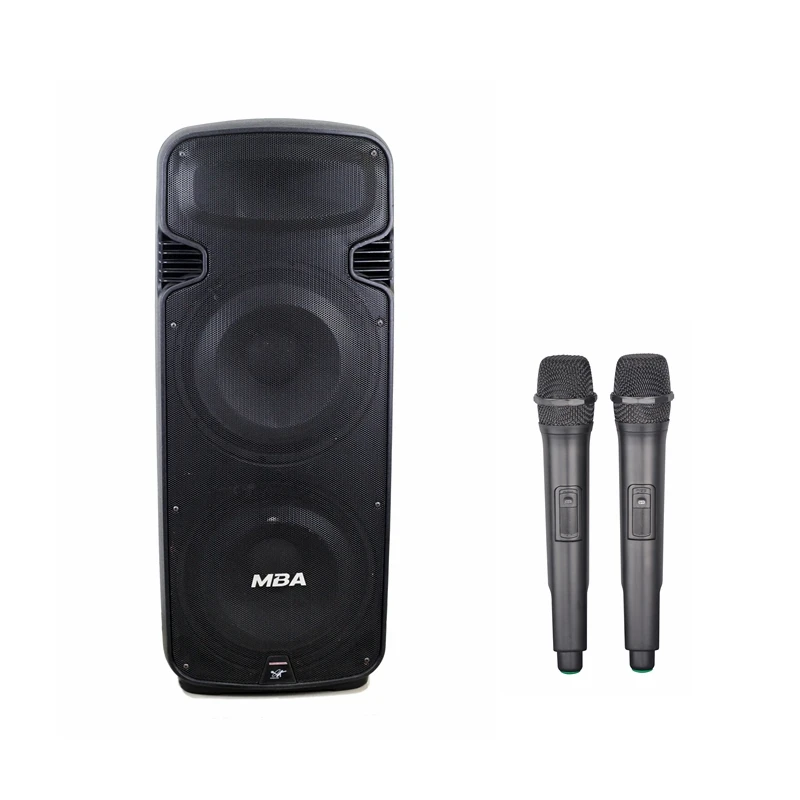 Double 15'' Subwoofer Bluetooth Portable Party Speaker with Reactive Lights USB SD Input FM Radio - ANKUX.COM